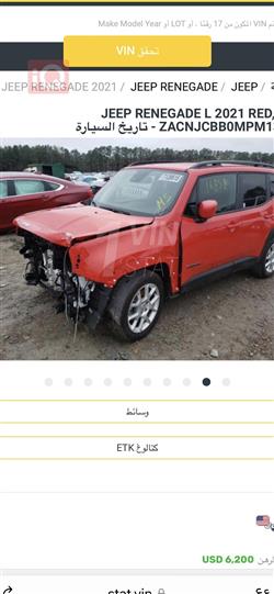 جيب رينيجيد